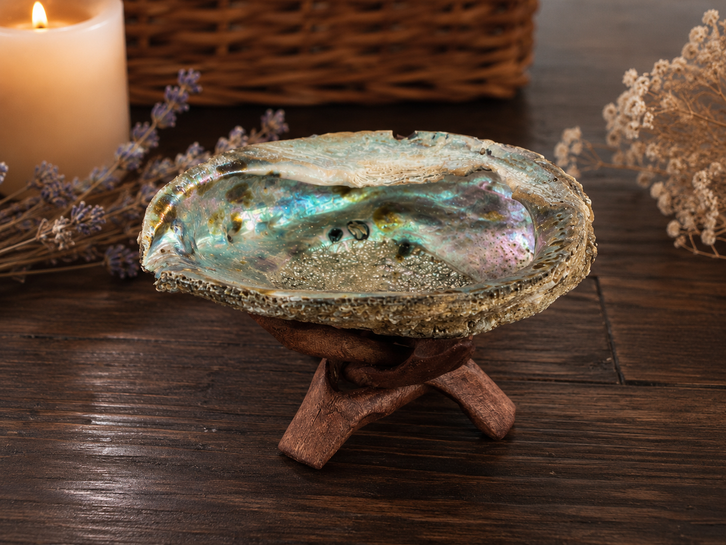 Abalone Shell - Green (5-6 in.) with Stand
