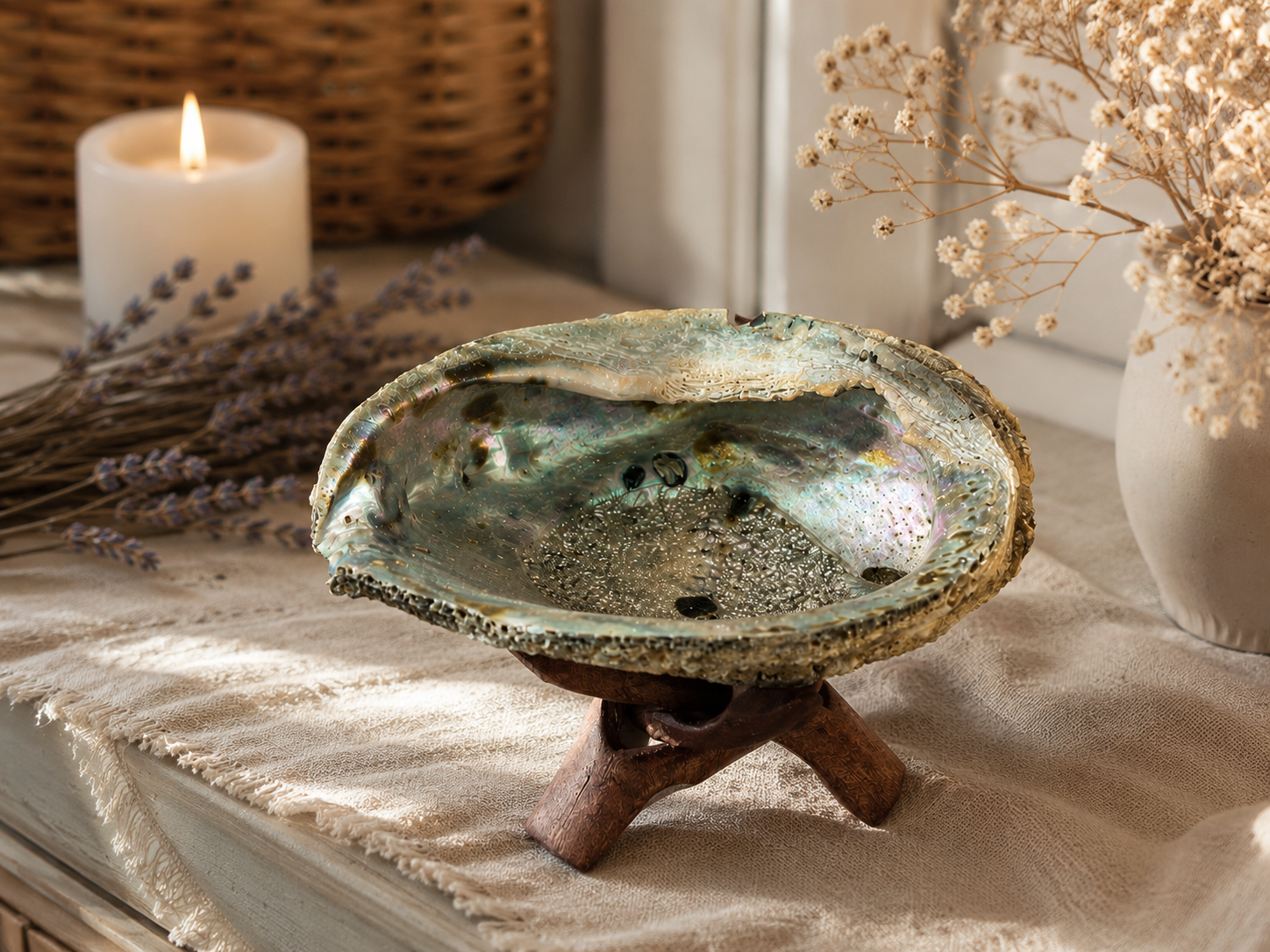 Abalone Shell - Green (5-6 in.) with Stand