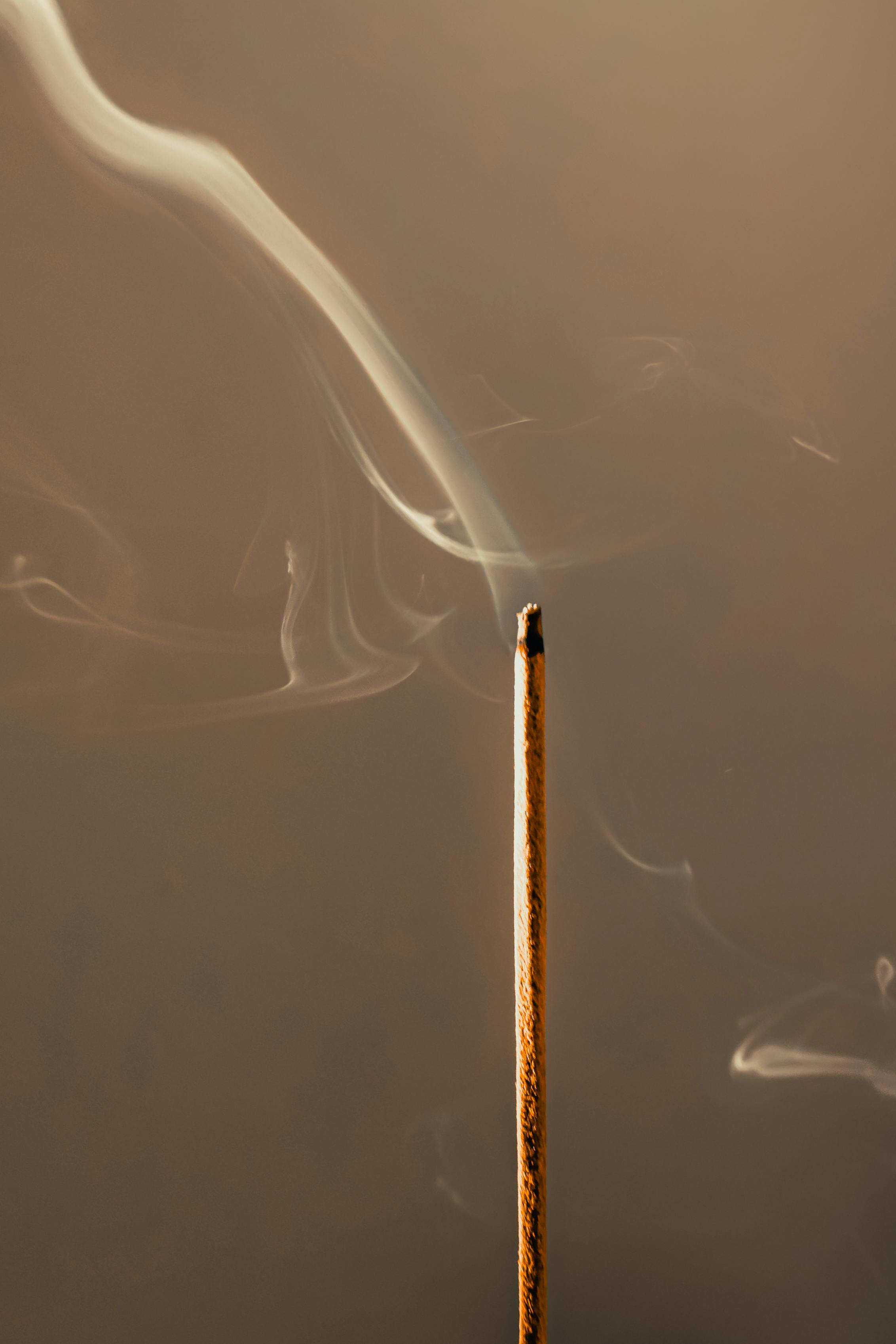 Incense Sticks - Satya Myrrh (15 g.)